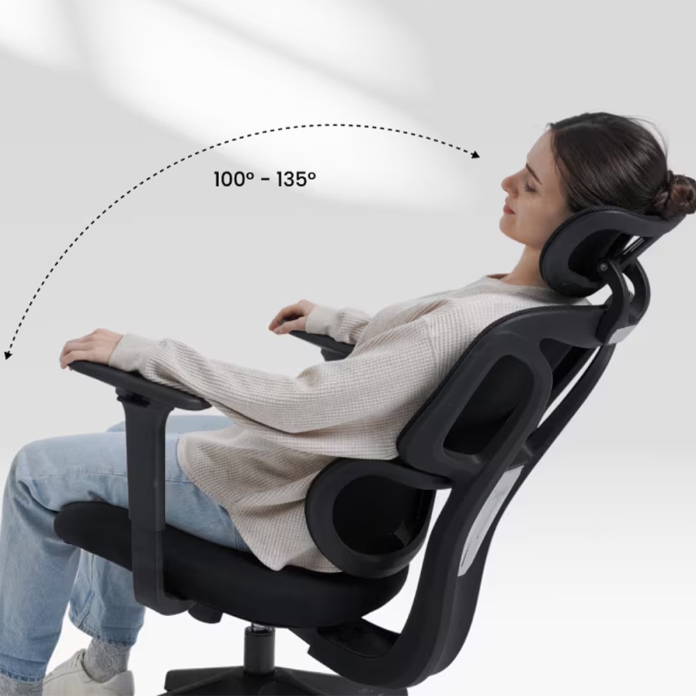 FLEXISPOT BS5 PRO Office Chair - JIJI.SG