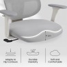 FLEXISPOT BS5 PRO Office Chair - JIJI.SG