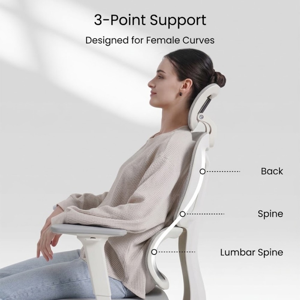 FLEXISPOT BS5 PRO Office Chair - JIJI.SG