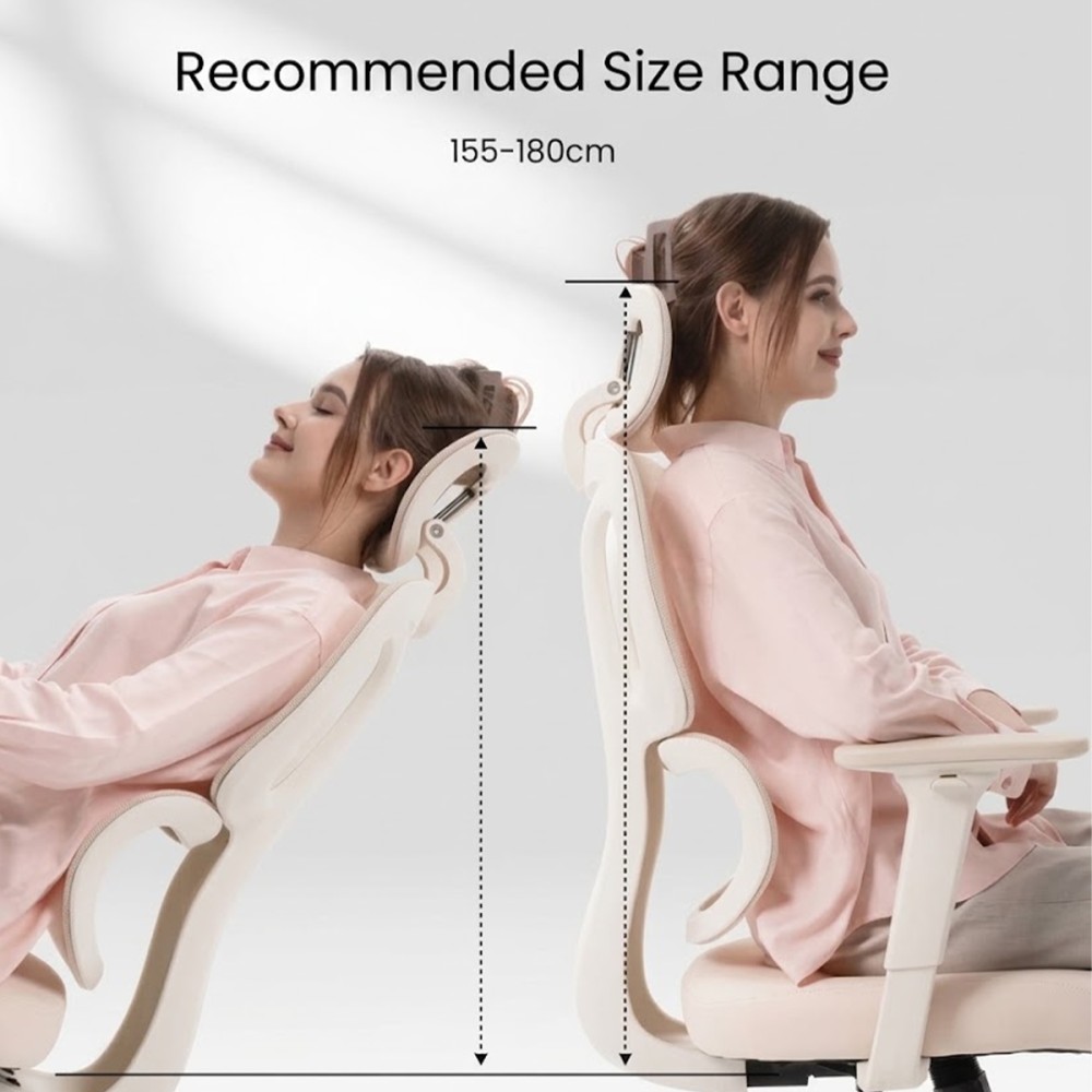 FLEXISPOT BS5 PRO Office Chair - JIJI.SG