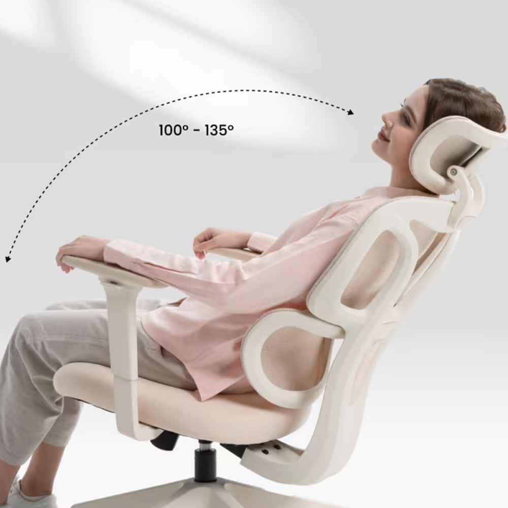 FLEXISPOT BS5 PRO Office Chair - JIJI.SG