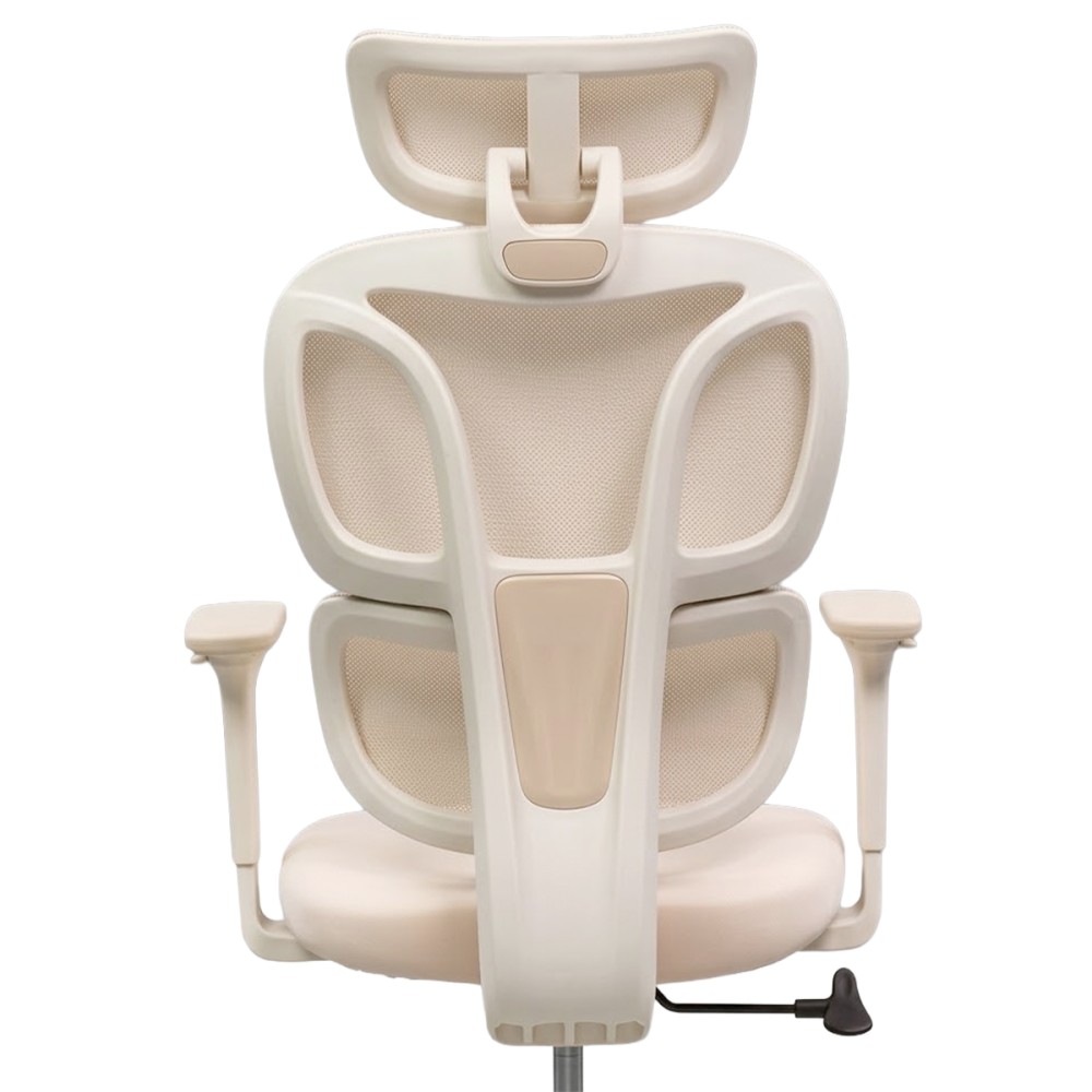 FLEXISPOT BS5 PRO Office Chair - JIJI.SG