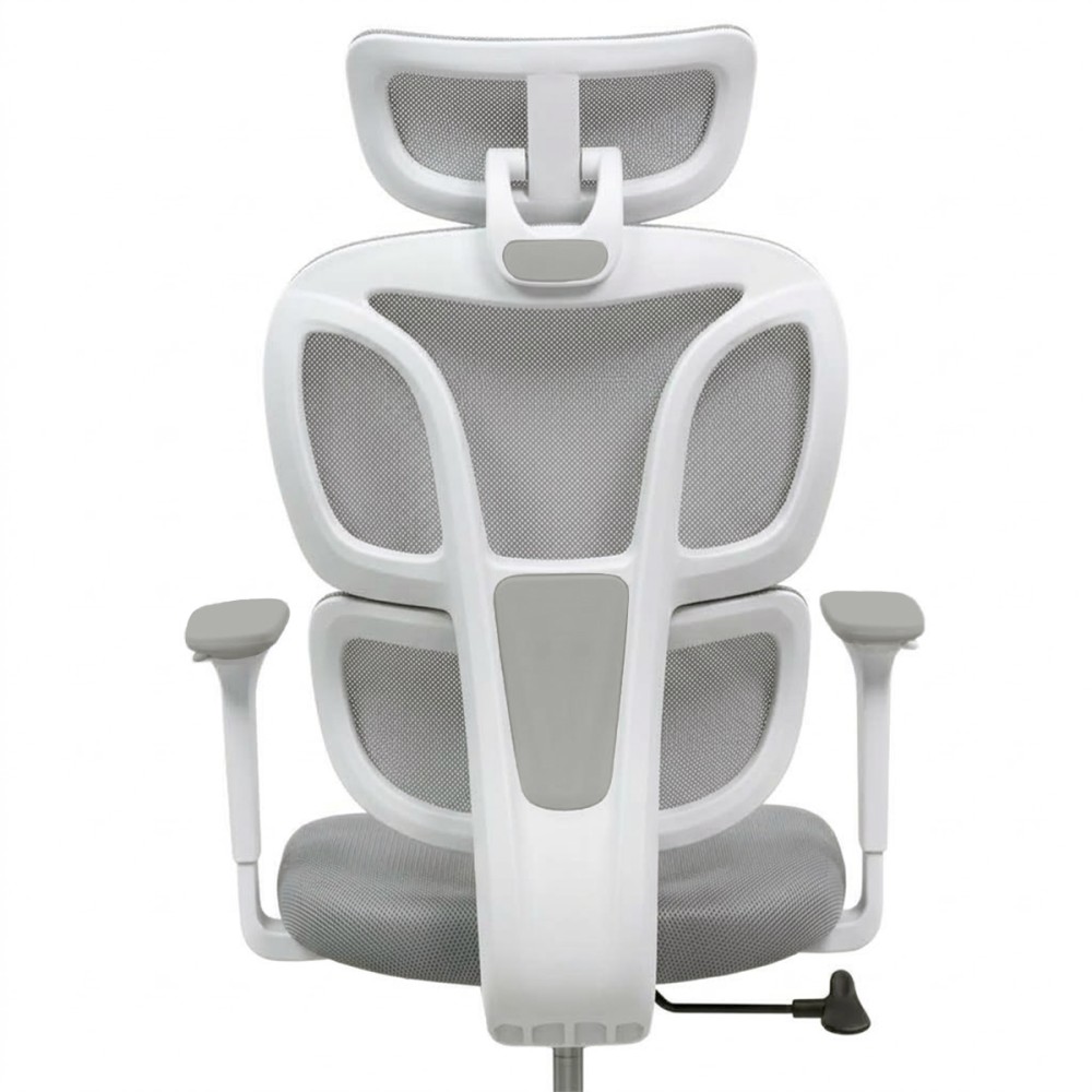 FLEXISPOT BS5 PRO Office Chair - JIJI.SG