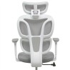 FLEXISPOT BS5 PRO Office Chair - JIJI.SG