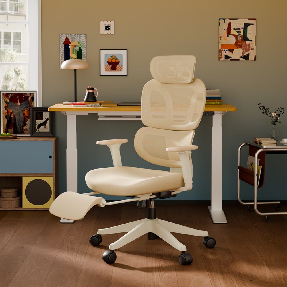 FLEXISPOT BS5 PRO Office Chair - JIJI.SG