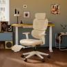 FLEXISPOT BS5 PRO Office Chair - JIJI.SG