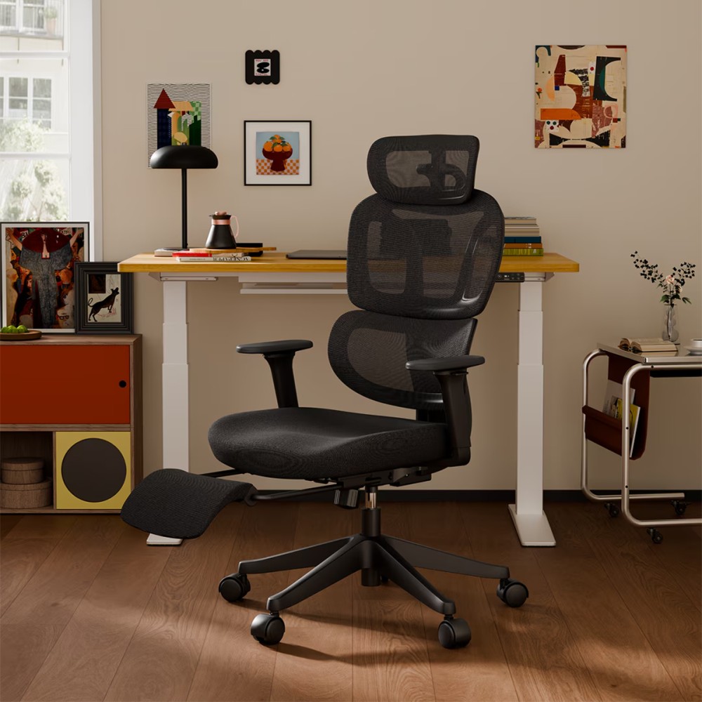 FLEXISPOT BS5 PRO Office Chair - JIJI.SG