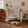 FLEXISPOT BS5 PRO Office Chair - JIJI.SG