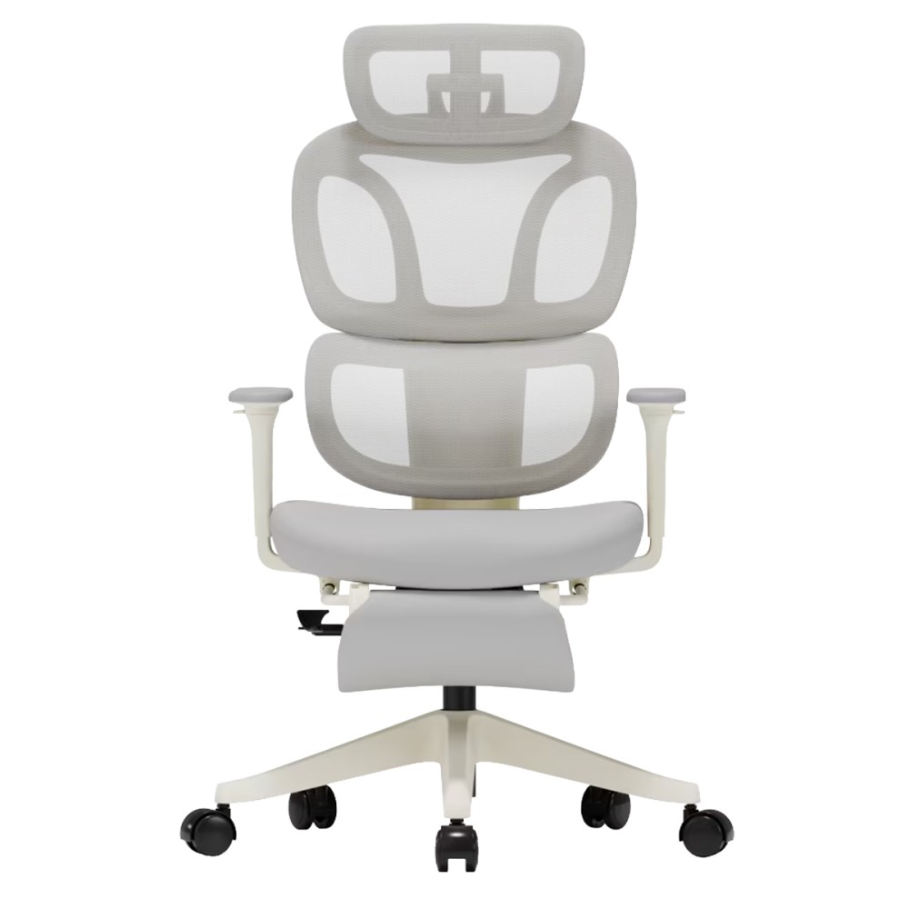 FLEXISPOT BS5 PRO Office Chair - JIJI.SG