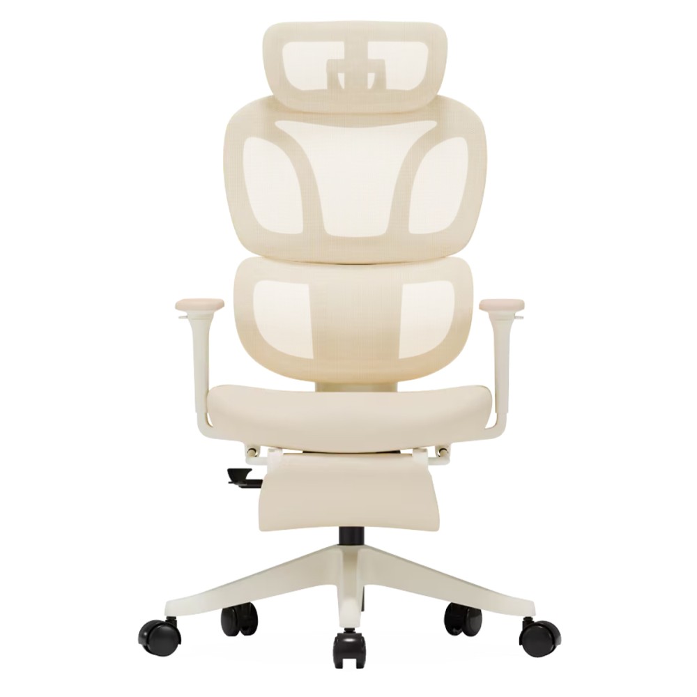 FLEXISPOT BS5 PRO Office Chair - JIJI.SG