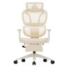 FLEXISPOT BS5 PRO Office Chair - JIJI.SG