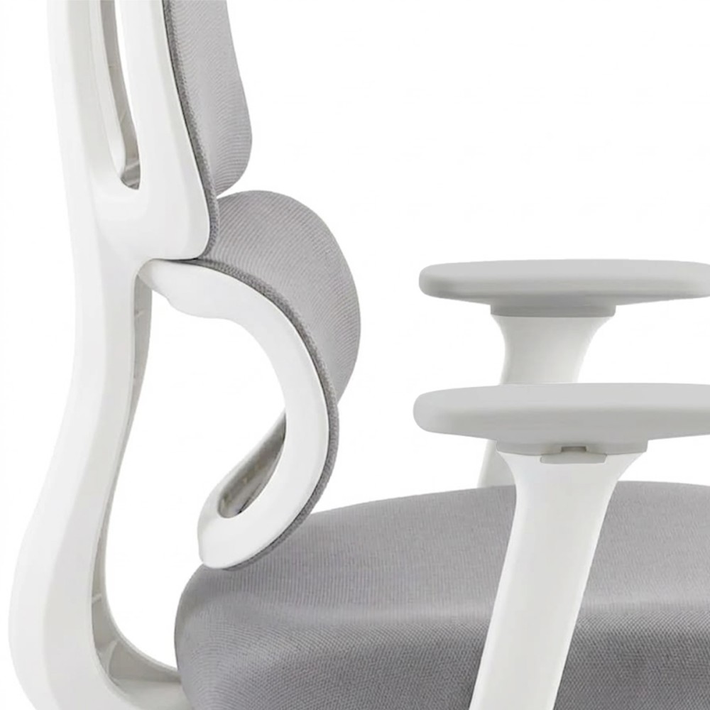 FLEXISPOT BS5 PRO Office Chair - JIJI.SG