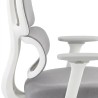 FLEXISPOT BS5 PRO Office Chair - JIJI.SG