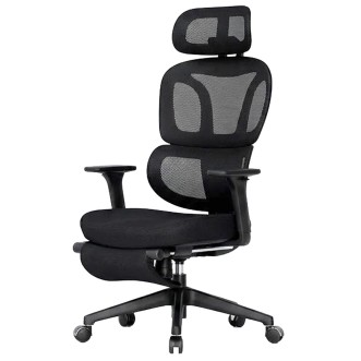 FLEXISPOT BS5 PRO Office Chair - JIJI.SG