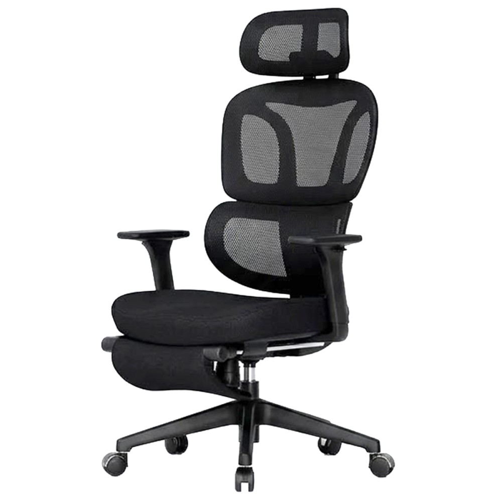 FLEXISPOT BS5 PRO Office Chair - JIJI.SG
