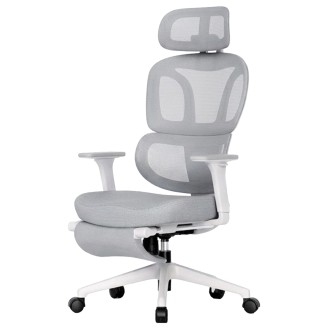 FLEXISPOT BS5 PRO Office Chair - JIJI.SG