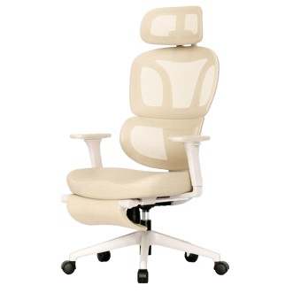 FLEXISPOT BS5 PRO Office Chair - JIJI.SG