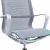 GIANNA Office Chair - JIJI.SG