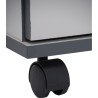EDWARD Mobile Pedestal - JIJI.SG