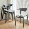 FABIENNE Chair, Stackable - JIJI.SG