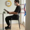 FABIENNE Chair, Stackable - JIJI.SG
