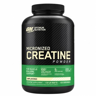 Optimum Nutrition Micronized Creatine Powder - JIJI.SG