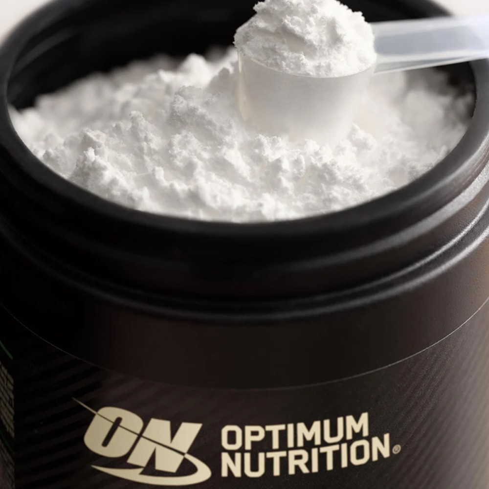 Optimum Nutrition Micronized Creatine Powder - JIJI.SG