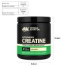Optimum Nutrition Micronized Creatine Powder - JIJI.SG
