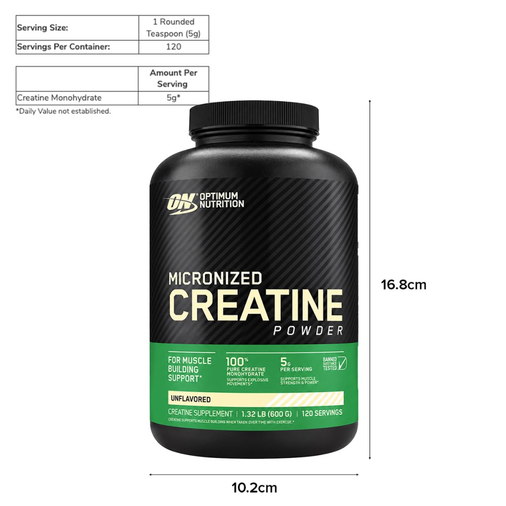 Optimum Nutrition Micronized Creatine Powder - JIJI.SG