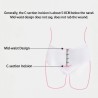 VARDA Disposable Large Size Cotton Panties - JIJI.SG
