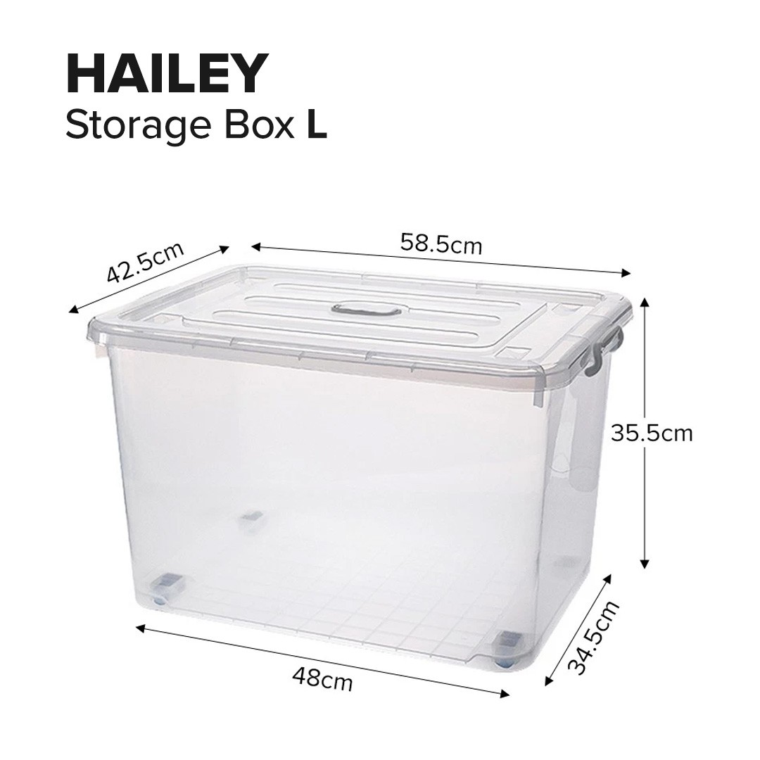 hailey.jpg