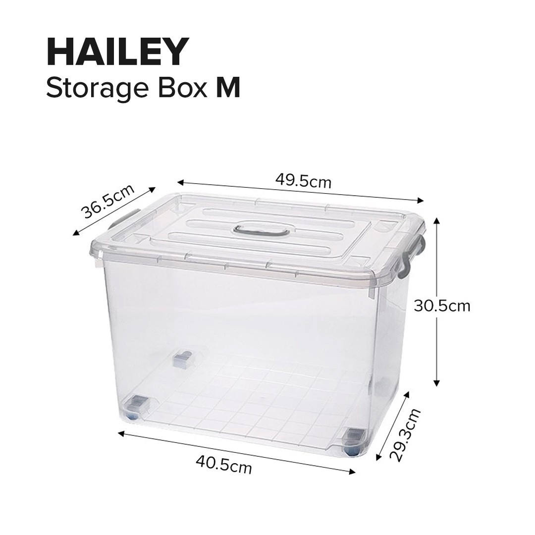 hailey.jpg