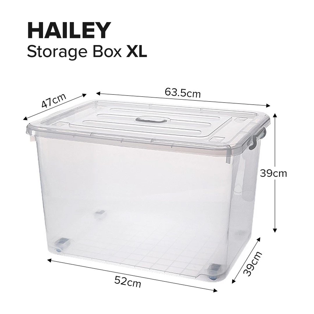 hailey.jpg